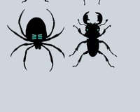 Bugs
