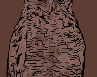 Ooowl