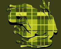 It isn't easy being plaid
