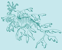 Sea Dragon