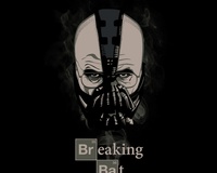 Breaking Bat