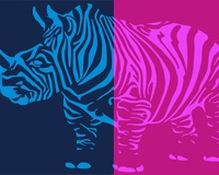 Rhinobra