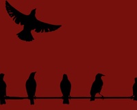 Birds On A Wire