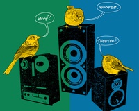 Woofers And Tweeters
