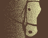 Shimmering Steed