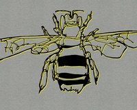 Beehave