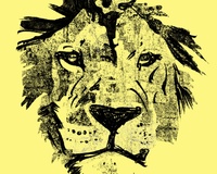 Lion Face