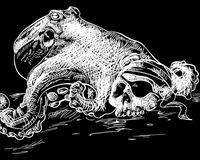 The Lost Pirate of the Black Lagoon