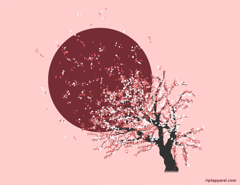 Detailed Cherry Blossom