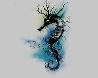 Silently Seahorse